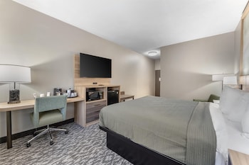 Standard Room, 1 King Bed, Non Smoking, Refrigerator & Microwave