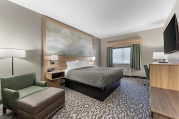 Standard Room, 1 King Bed, Non Smoking, Refrigerator & Microwave