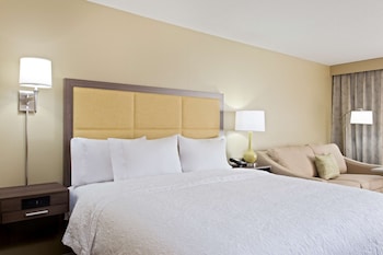 Room, 1 King Bed with Sofa bed, Accessible, Non Smoking