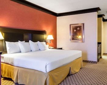 Standard Room, 1 King Bed, Non Smoking