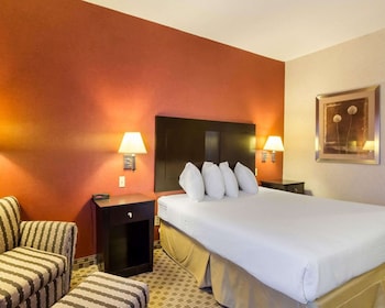 Room, 1 King Bed, Accessible, Non Smoking