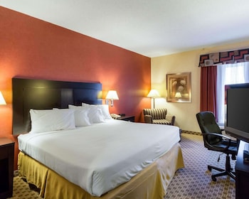 Standard Room, 1 King Bed, Non Smoking