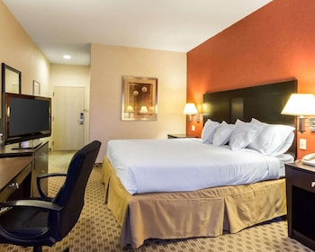 Standard Room, 1 King Bed, Non Smoking