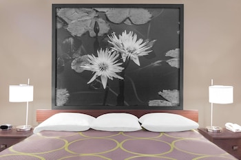 Room, 1 King Bed