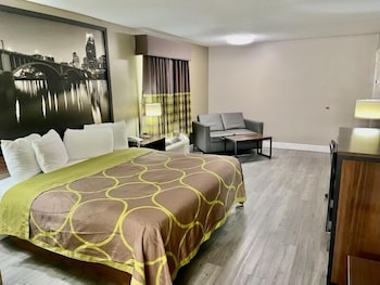 Room, 1 King Bed