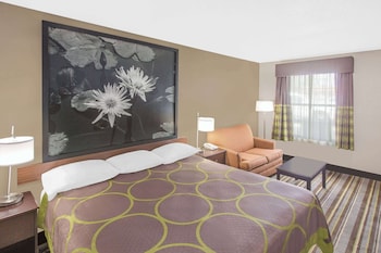 Room, 1 King Bed