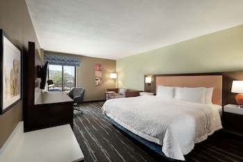 Room, 1 King Bed, Accessible, Non Smoking