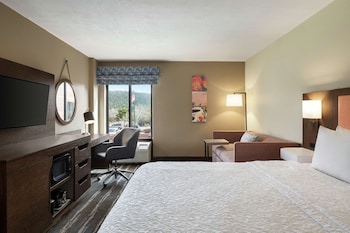 Room, 1 King Bed, Accessible, Non Smoking