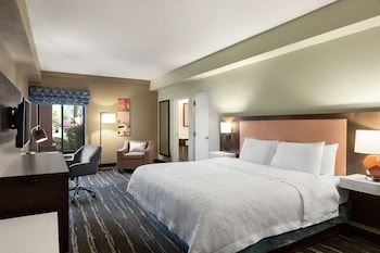 Room, 1 King Bed, Non Smoking