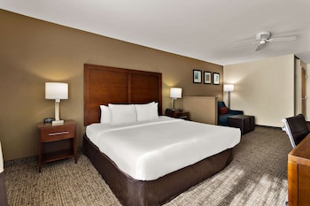 Suite, Non Smoking (1 King Bed)