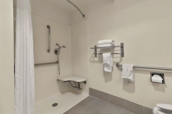 Room, 1 King Bed, Accessible, Non Smoking