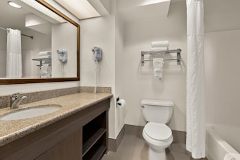 Deluxe Room, 1 King Bed, Non Smoking, Refrigerator & Microwave