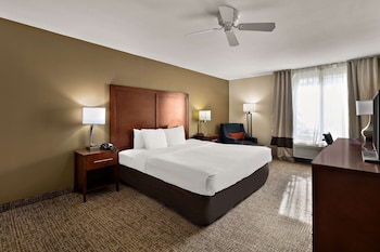 Deluxe Room, 1 King Bed, Non Smoking, Refrigerator & Microwave