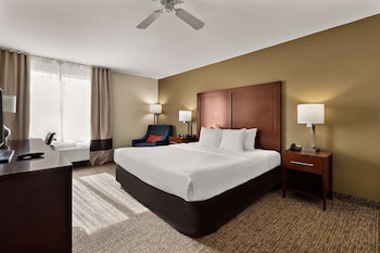 Room, 1 King Bed, Accessible, Non Smoking