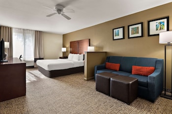 Suite, 1 King Bed with Sofa bed, Accessible, Non Smoking