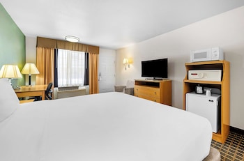 Standard Room, 1 King Bed, Accessible, Refrigerator & Microwave