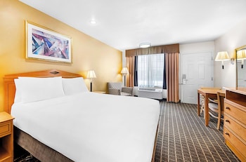 Standard Room, 1 Queen Bed, Accessible, Refrigerator & Microwave