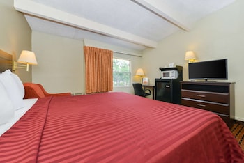 Room, 1 King Bed, Non Smoking