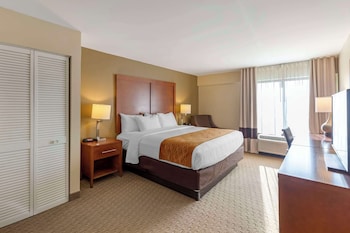 Standard Room, 1 King Bed, Non Smoking