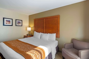 Standard Room, 1 King Bed, Non Smoking