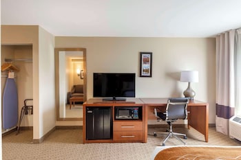 Suite, 1 King Bed with Sofa bed, Non Smoking