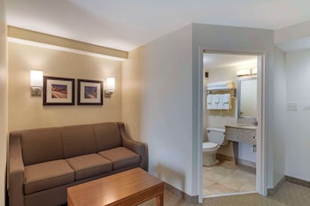 Suite, 1 King Bed with Sofa bed, Non Smoking