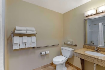 Standard Room, 1 King Bed, Non Smoking