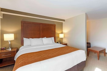 Suite, 1 King Bed with Sofa bed, Non Smoking