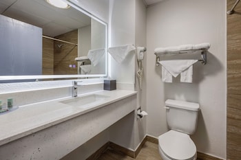Standard Room, 1 King Bed, Non Smoking (Walk-in Shower;with Sofabed)