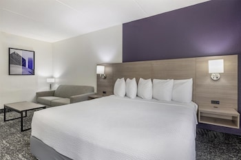 Standard Room, 1 King Bed, Non Smoking (Walk-in Shower;with Sofabed)