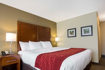 Standard Room, 1 King Bed, Accessible, Non Smoking (Bathtub)