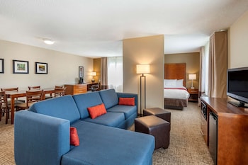 Suite, 1 King Bed with Sofa bed, Non Smoking