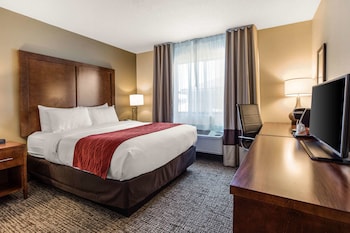 Standard Room, 1 Queen Bed, Non Smoking