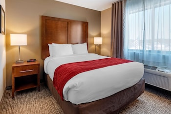 Standard Room, 1 Queen Bed, Non Smoking