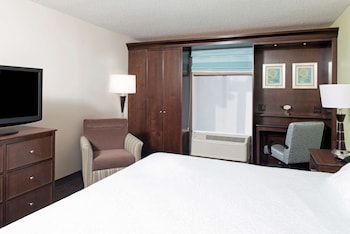 Room, 1 King Bed, Accessible, Non Smoking