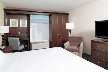 Room, 1 King Bed, Accessible, Non Smoking