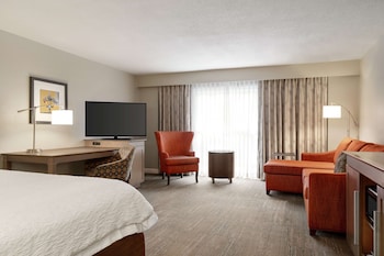 Junior Suite, 1 King Bed, Jetted Tub (with Sofa Sleeper)