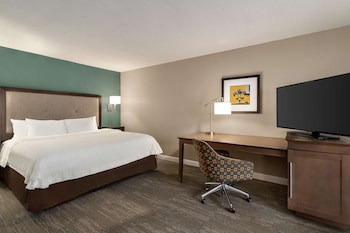 Junior Suite, 1 King Bed, Jetted Tub (with Sofa Sleeper)