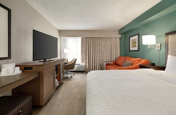 Room, 1 King Bed with Sofa bed