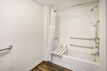 Room, Accessible, Bathtub