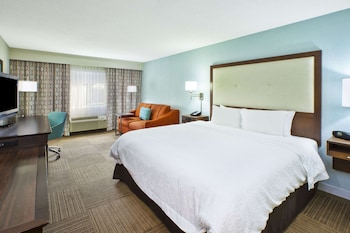 Room, 1 King Bed, Non Smoking