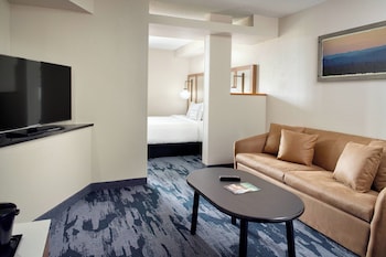 Studio, 1 King Bed with Sofa bed