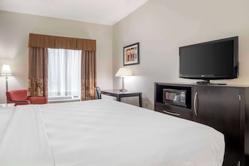 Standard Room, 1 King Bed, Non Smoking, Microwave