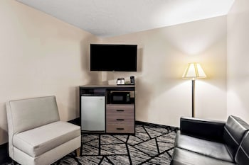 Standard Room, 1 King Bed, Accessible, Refrigerator & Microwave