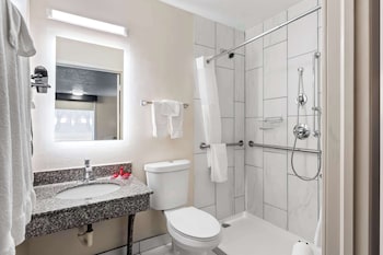 Standard Room, 1 King Bed, Accessible, Refrigerator & Microwave