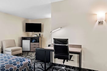Standard Room, 1 King Bed, Accessible, Refrigerator & Microwave