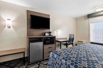 Standard Room, 1 Queen Bed, Accessible, Refrigerator & Microwave (Walk-in Shower)