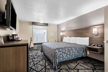 Standard Room, 1 Queen Bed, Accessible, Refrigerator & Microwave (Walk-in Shower)