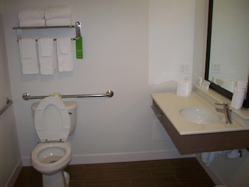 Room, 1 King Bed, Accessible, Bathtub (Mobility/Hearing)