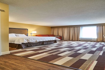 Room, 1 King Bed with Sofa bed, Non Smoking (Study)